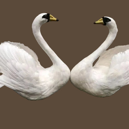 Realistic Swan Garden Decoration — Foam & Feather, 50×55 cm