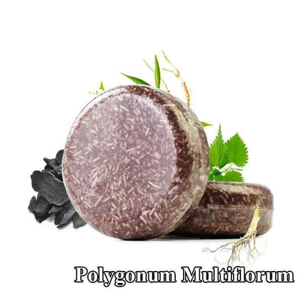 Nourish and Strengthen: Polygonum Multiflorum Hair Care Shampoo and Soap Duo