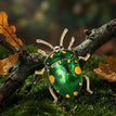 Green C