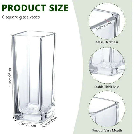 Set of 6 Elegant Clear Glass Vases - Chic Home Decor Accent