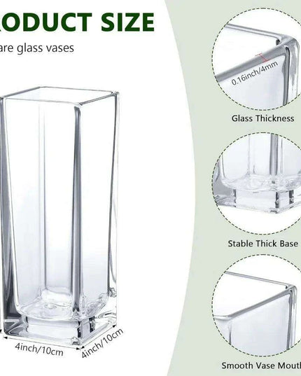 Set of 6 Elegant Clear Glass Vases - Chic Home Decor Accent