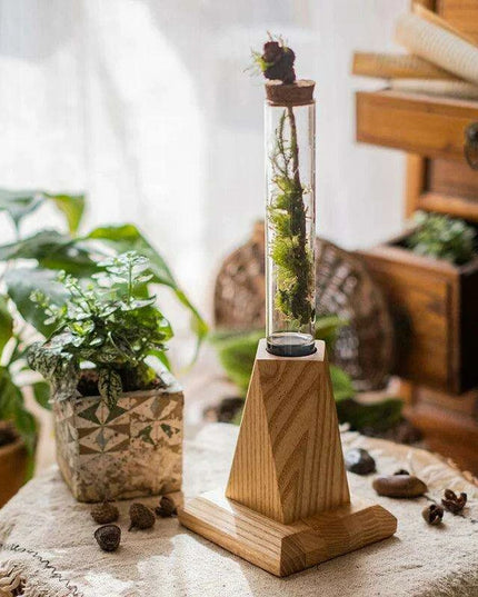 Nordic Chic Glass Test Tube Vase Collection with Wooden Stand - Stylish Hydroponic Plant Display
