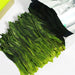 Anxi Ti Kuan Yin Black Oolong Tea - 250g | Eco-Conscious Indulgence for Tea Lovers