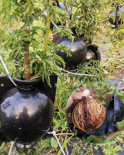 10-Pack High Pressure Rooting Ball Kits for Easy Plant Propagation and Air Layering