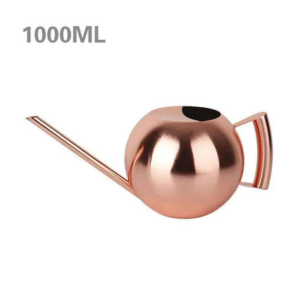 Stylish Stainless Steel Watering Can with Extended Spout - Perfect for Plant Nurturing