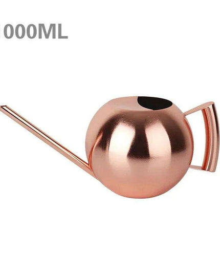 Stylish Stainless Steel Watering Can with Extended Spout - Perfect for Plant Nurturing