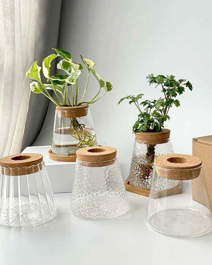 Chic Hydroponic Glass Vase - Modern Mini Planter for Stylish Home Decor