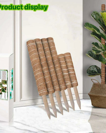 Vertical Garden Climbing Support Kit - Eco-Friendly Growth Solution for Indoor Plants