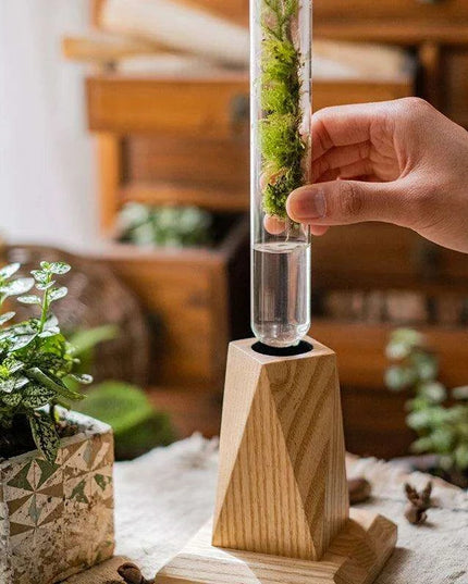 Nordic Chic Glass Test Tube Vase Collection with Wooden Stand - Stylish Hydroponic Plant Display