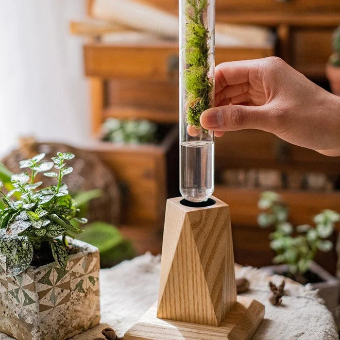 Nordic Chic Glass Test Tube Vase Collection with Wooden Stand - Stylish Hydroponic Plant Display