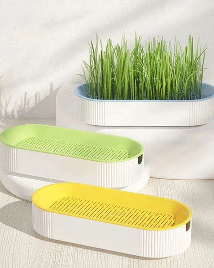 Indoor Hydroponic Cat Grass Kit - Grow Fresh, Nutritious Treats for Your Feline Friend