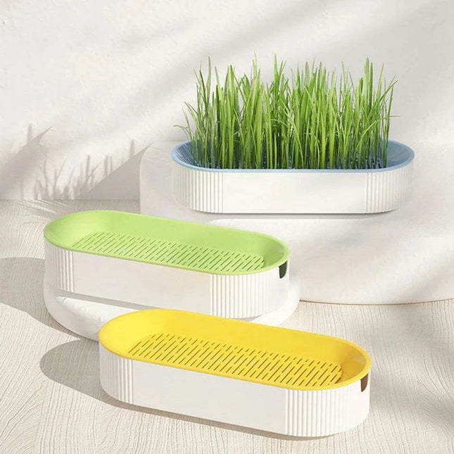 Indoor Hydroponic Cat Grass Kit - Grow Fresh, Nutritious Treats for Your Feline Friend