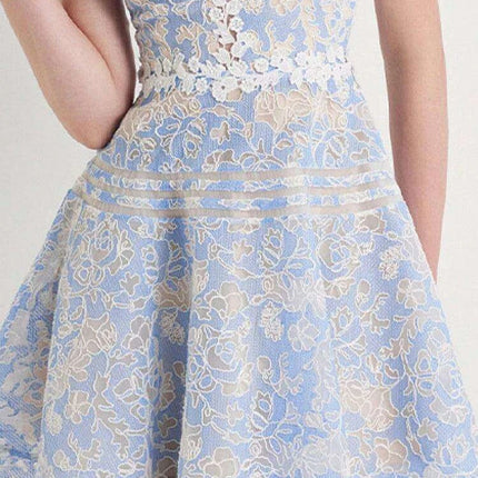 Sleeveless Lace Mini Dress with Hollow Out Embroidery for Women's Summer Events 2024
