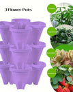 Purple Flowerpot / Large