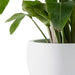 Contemporary White Concrete Planter Trio - Stylish Round Plant Pots Set