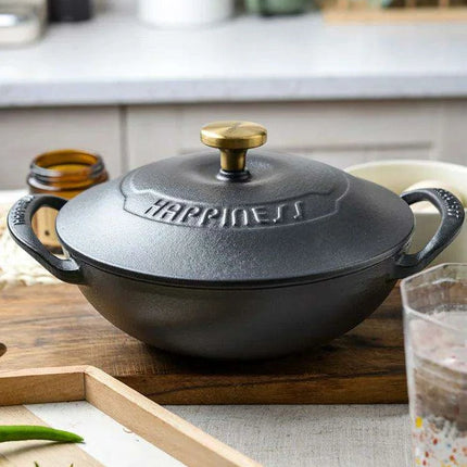Versatile 21cm Enamel-Coated Cast Iron Stew Pot for Low-Pressure Cooking