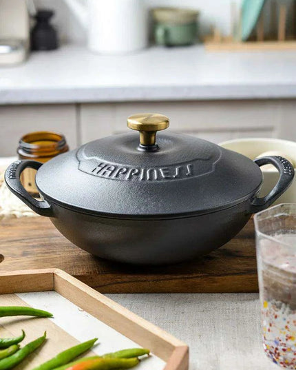 Versatile 21cm Enamel-Coated Cast Iron Stew Pot for Low-Pressure Cooking