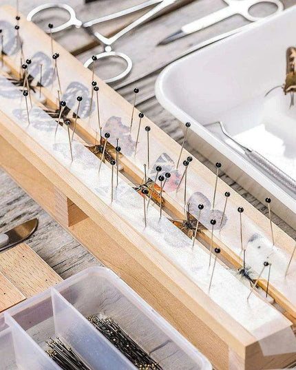 Premium 100-Piece Stainless Steel Insect Pins Set for Entomology Research and Dissection