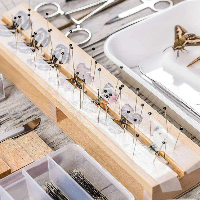 Premium 100-Piece Stainless Steel Insect Pins Set for Entomology Research and Dissection