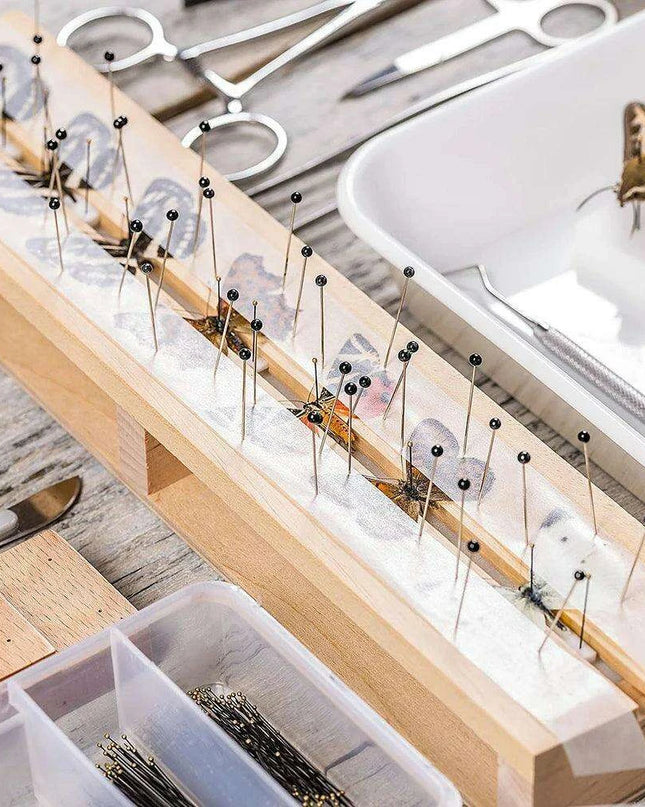 Premium 100-Piece Stainless Steel Insect Pins Set for Entomology Research and Dissection