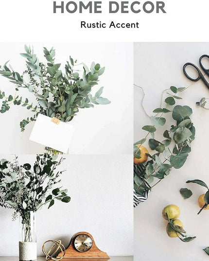 Elegant Silver Dollar Eucalyptus Green Swag - Chic Home Decor Accent