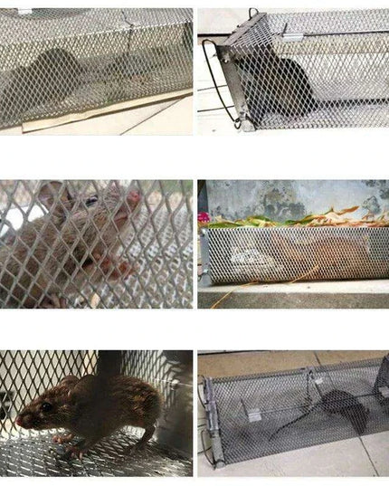 Revolutionary Humane Mouse Catching System - Efficient Rodent Management for Home and Kitchen