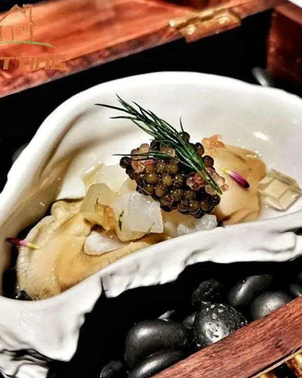 Oyster Shell Elegance: Premium Ceramic Dinnerware Set for Timeless Dining and Décor