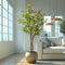 Artificial Green Plant False Tree Peach Golden Maiden Home Decoration Indoor Pot Bionic Shooting Props Aesthetics artificial-green-plant-false-tree-peach-golden-maiden-home-decoration-indoor-pot-bionic-shooting-props-aesthetics
