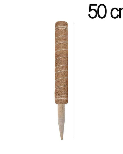 Vertical Garden Climbing Support Kit - Eco-Friendly Growth Solution for Indoor Plants