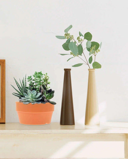 Set of 6 Chic Clay Planters - 12.5cm Pots for Indoor & Outdoor Succulent and Herb Gardening