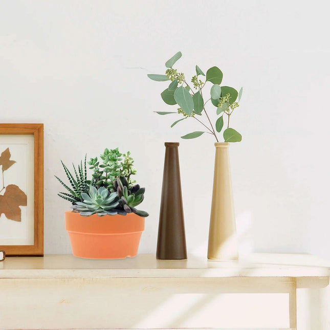 Set of 6 Chic Clay Planters - 12.5cm Pots for Indoor & Outdoor Succulent and Herb Gardening