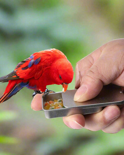 Smart Iron Parrot Training Feeder - Compact Cognitive Enhancement Jar