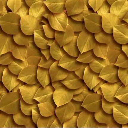 Tropical Dreamscape Abstract Wallpaper Mural