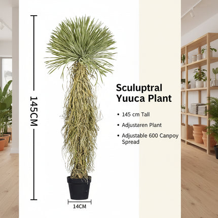 Dragon’s Blood Tree Faux Indoor Floor Plant — Dense Foliage, Living Room Decor