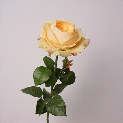 Real Touch Austin Latex Rose Stems — Set of 5