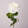 White / 1pcs
