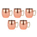 Moscow Mule Copper-Plated Stainless Steel Mugs - Set of 5: Versatile Drinkware for All Occasions