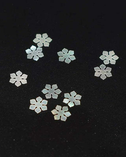 Stunning Natural Abalone Shell Fish Tail Pieces for Creative Jewelry and Instrument Inlays