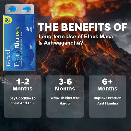 Oyster & Ginseng Energy Capsules — 100% Pure Stamina & Vitality Formula