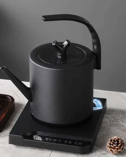 Elegant Precision Electric Kettle with Quick Boil and Temperature Settings