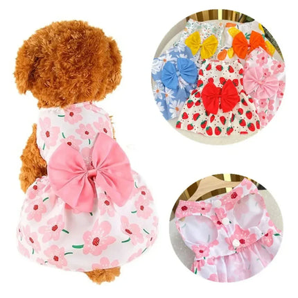 Bow Lace Princess Dress for Dogs & Kittens