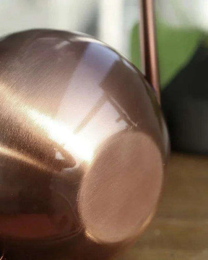 Stylish Stainless Steel Watering Can with Extended Spout - Perfect for Plant Nurturing