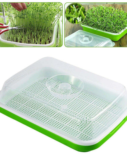 Sustainable Home Sprout Growing Kit - Easy Green & White Seed Tray Solution
