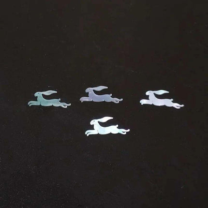 Iridescent Abalone Shell Craft Flakes for Creative Nail Art and DIY Enhancements