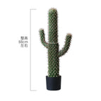 Single Stem