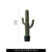 Single Stem