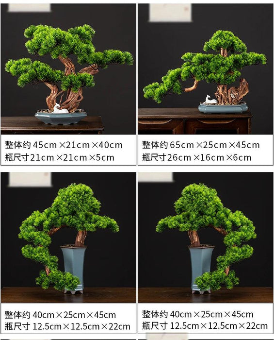 Chinese Pine Prosperity Bonsai - Handcrafted Symbol of Wealth and Fortune