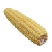 Lifelike Artificial Corn Stick Display Model for Restaurants, Hotels, and Kitchens