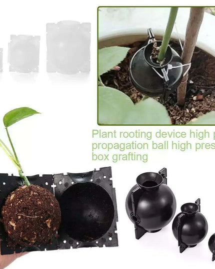 10-Pack High Pressure Rooting Ball Kits for Easy Plant Propagation and Air Layering