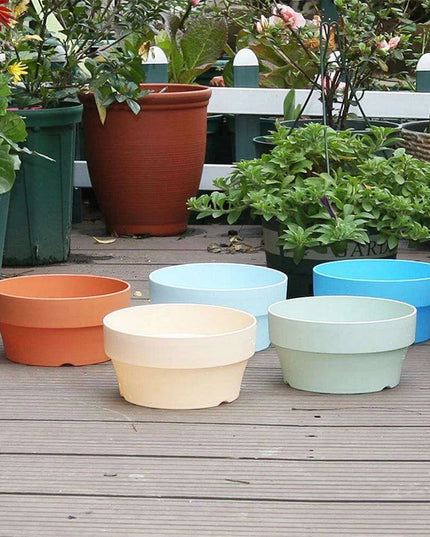 Set of 6 Chic Clay Planters - 12.5cm Pots for Indoor & Outdoor Succulent and Herb Gardening